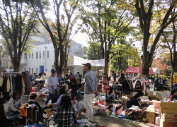 府中公園のフリマ