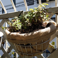 ワイヤバスケットと麻袋