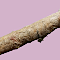 ボロボロのペーパーウェイト